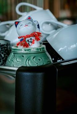 chắn trực tuyến 8Day
